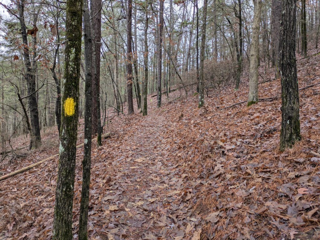 pxl_20241227_161017528.jpg