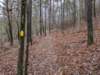 pxl_20241227_161017528_small.jpg
