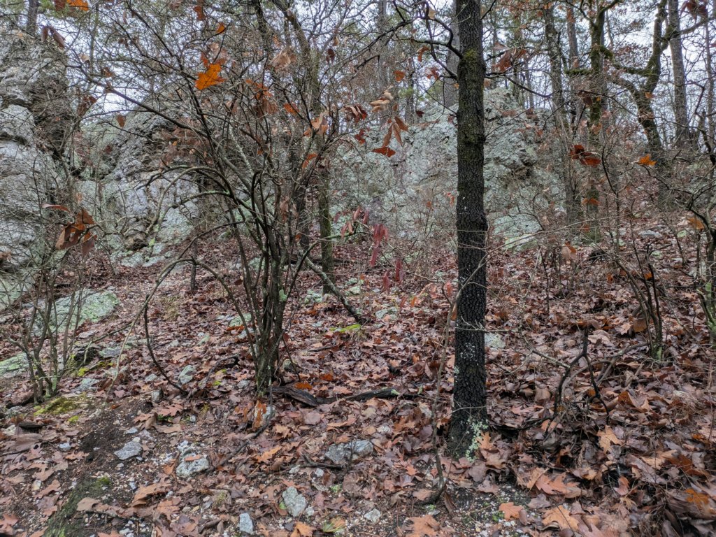 pxl_20241227_161229107.jpg