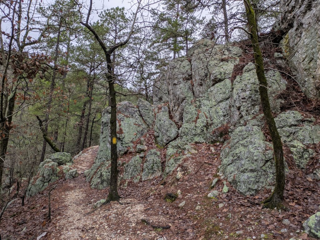 pxl_20241227_161243329.jpg