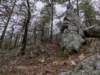 pxl_20241227_161315002_small.jpg