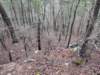 pxl_20241227_161328267_small.jpg