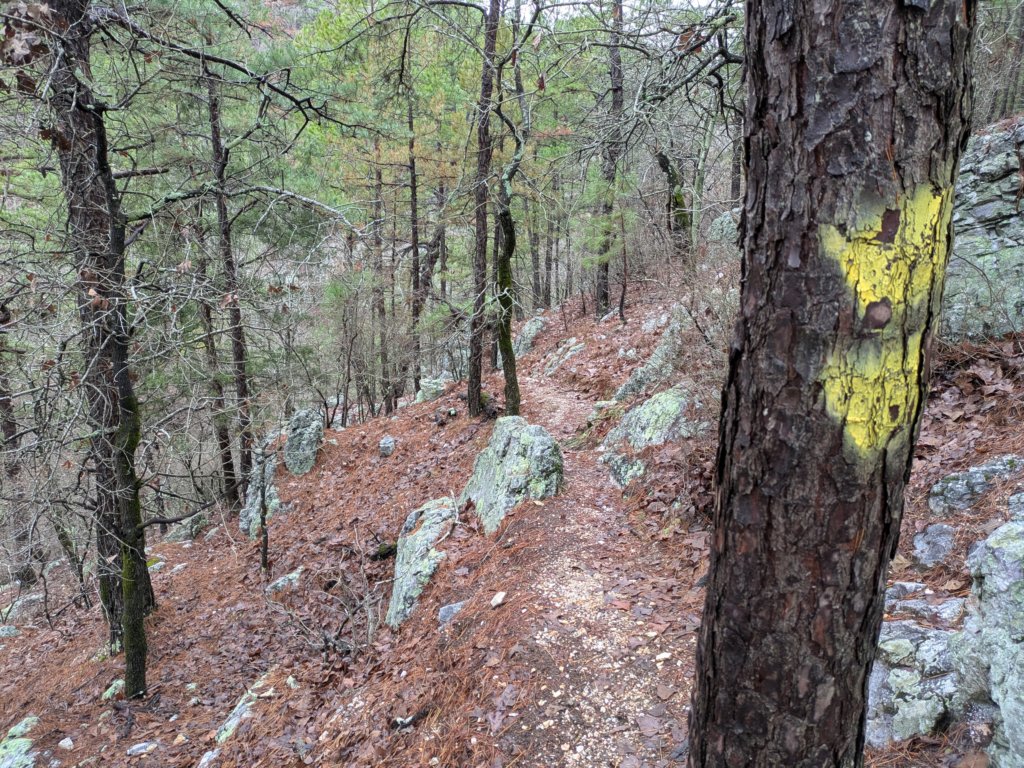 pxl_20241227_161504335.jpg
