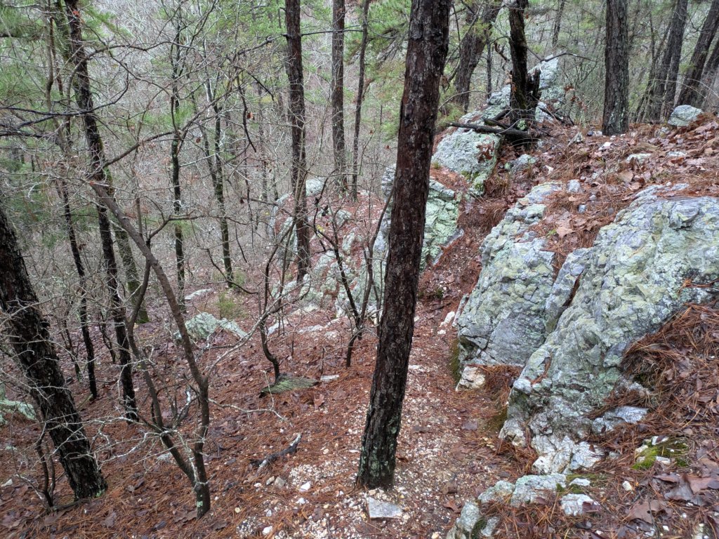 pxl_20241227_161541058.jpg