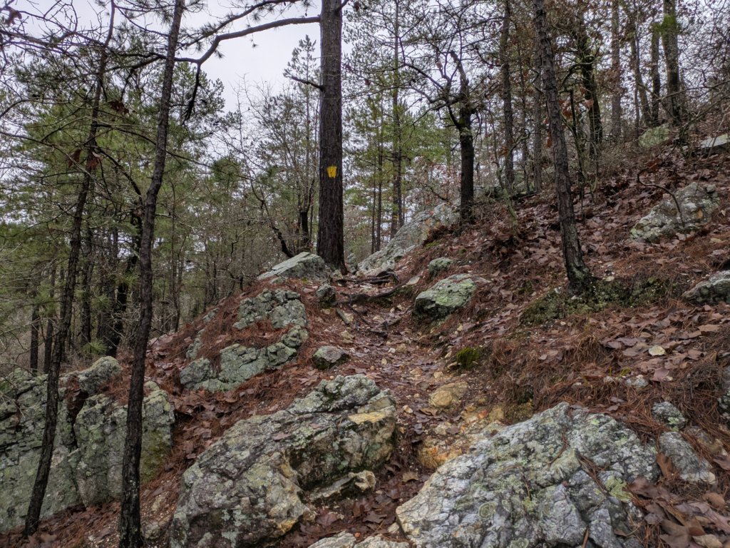 pxl_20241227_161657687.jpg