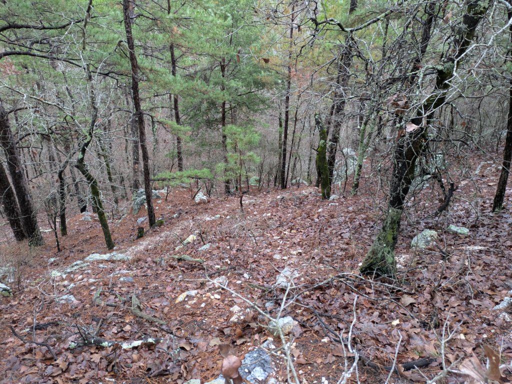 pxl_20241227_161723698.jpg