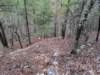 pxl_20241227_161723698_small.jpg
