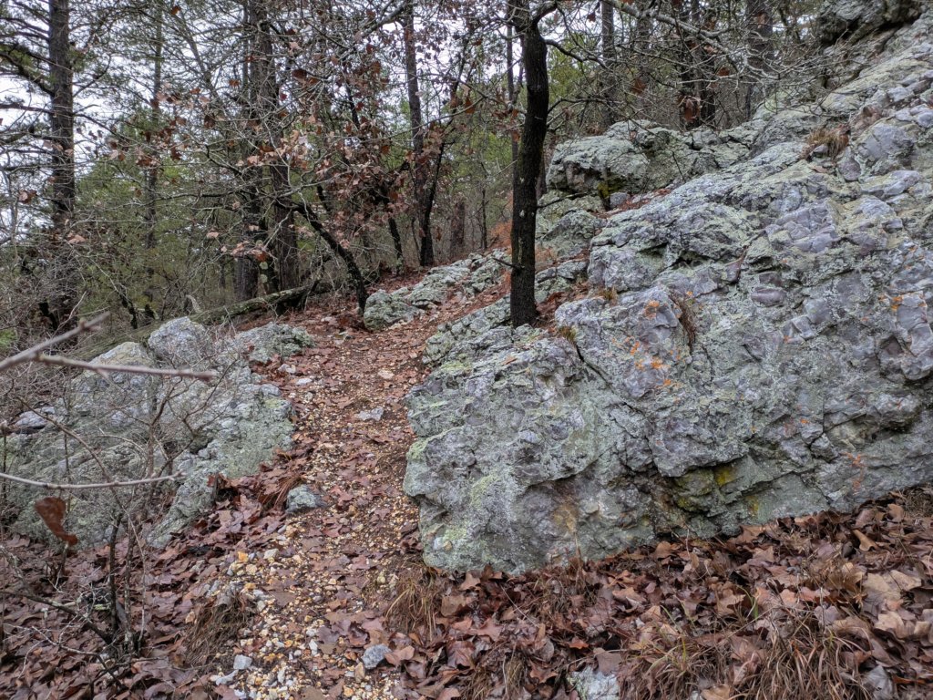 pxl_20241227_161807251.jpg