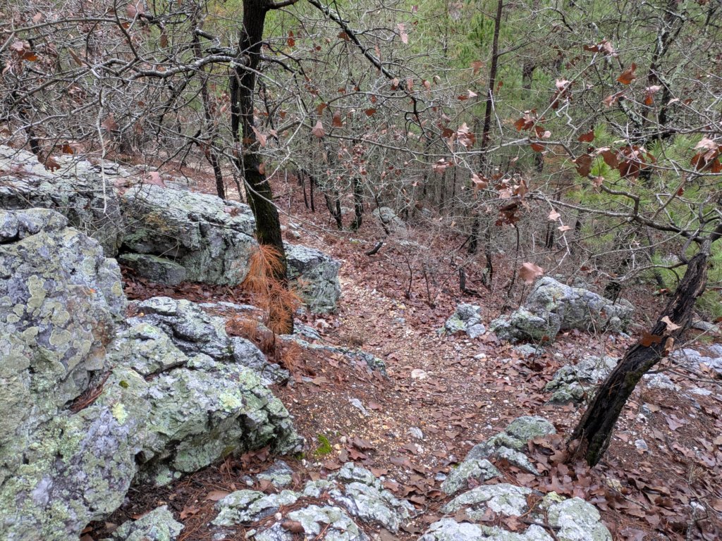 pxl_20241227_161837037.jpg