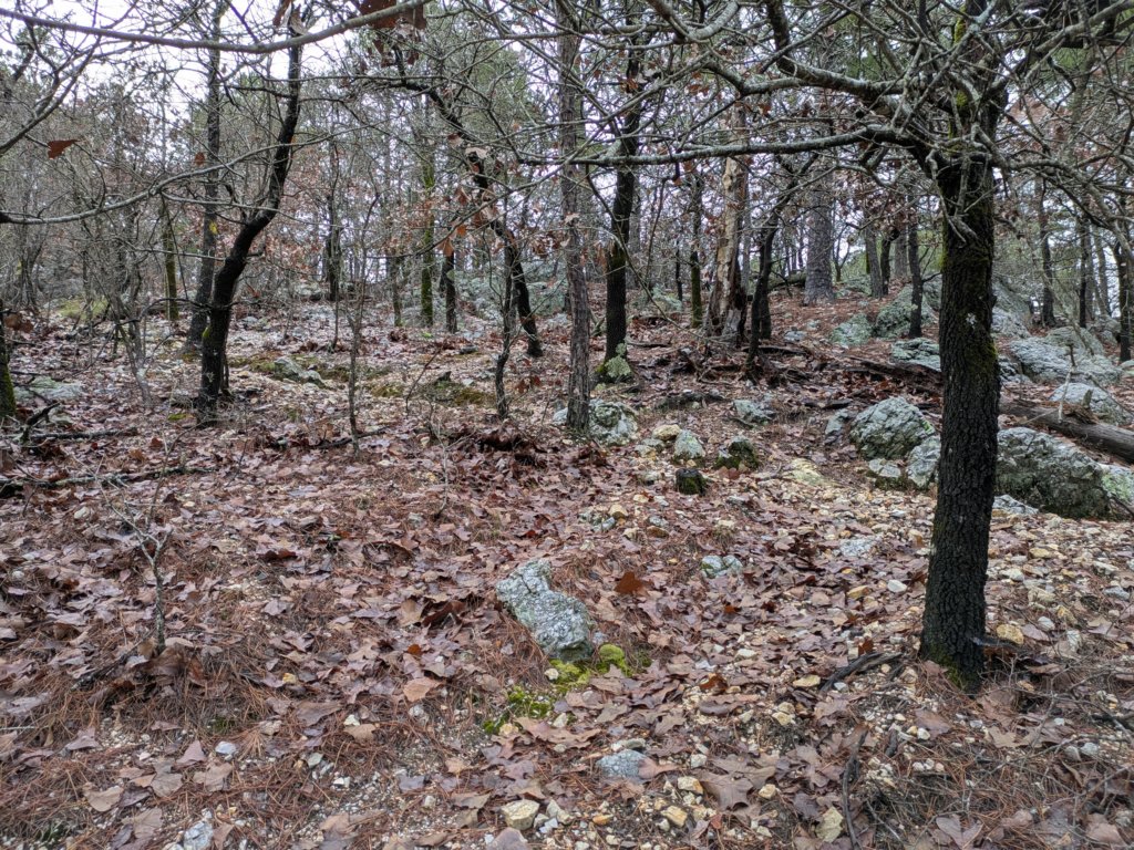 pxl_20241227_161928462.jpg