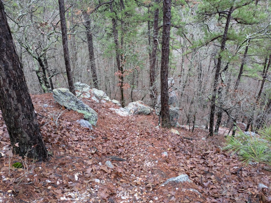 pxl_20241227_161942671.jpg