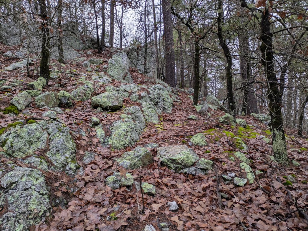 pxl_20241227_162007939.jpg
