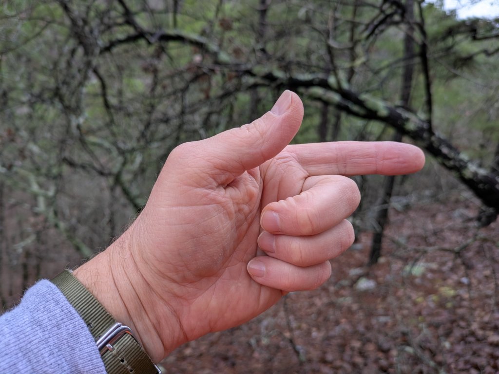 pxl_20241227_162026500.jpg