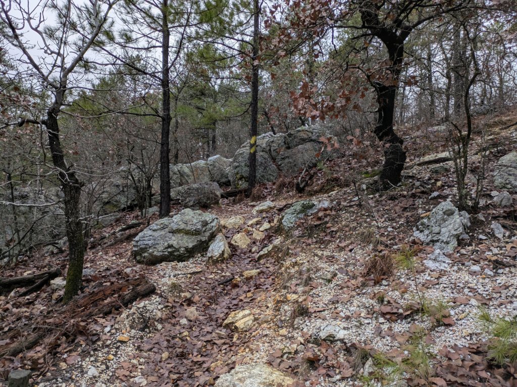 pxl_20241227_162109517.jpg