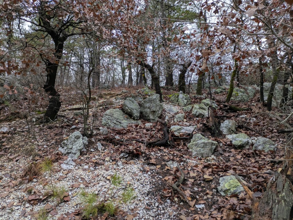 pxl_20241227_162113284.jpg