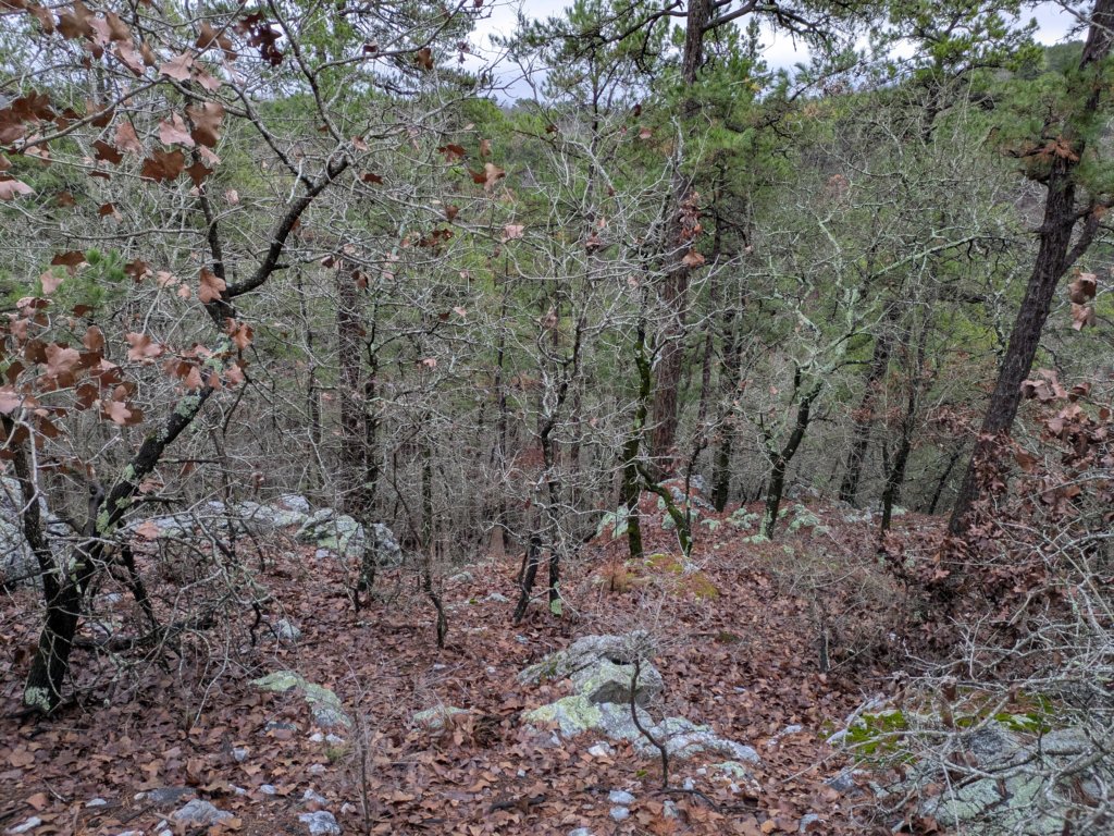 pxl_20241227_162228975.jpg