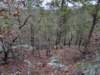 pxl_20241227_162228975_small.jpg
