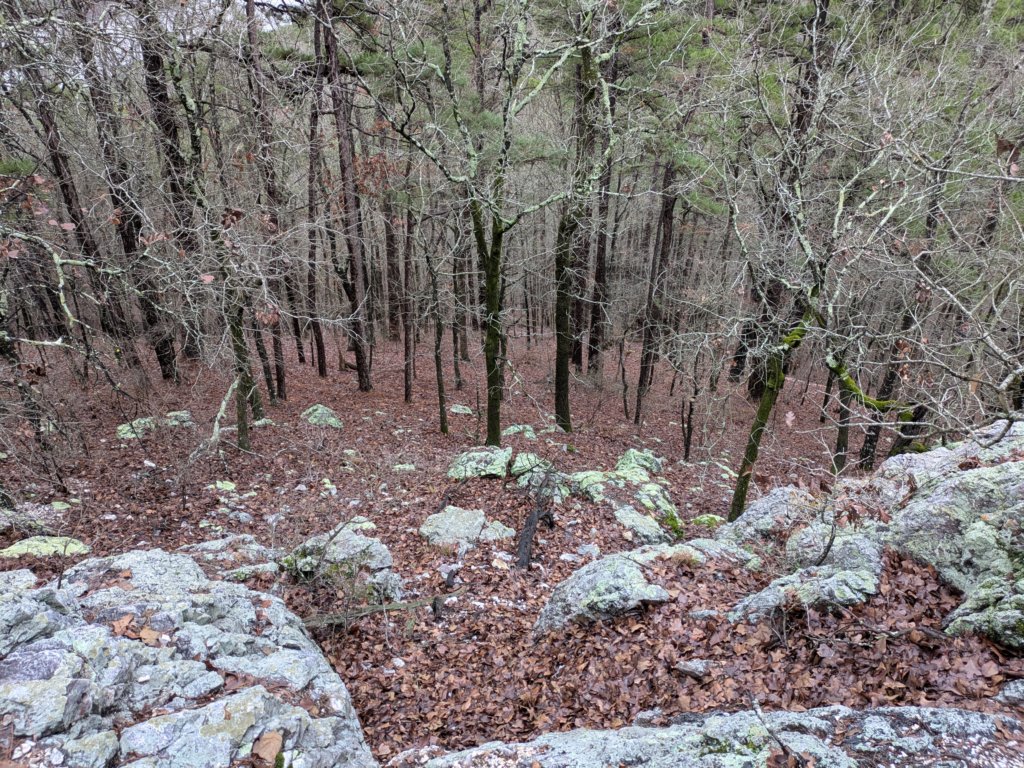 pxl_20241227_162304808.jpg