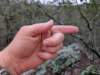 pxl_20241227_162314396_small.jpg