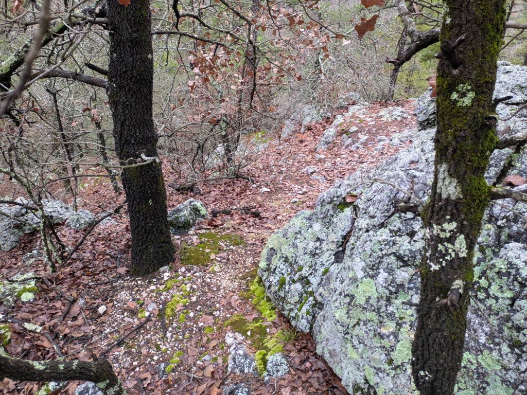 pxl_20241227_162317503.jpg