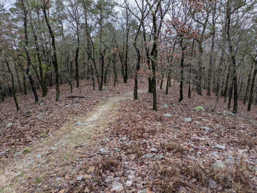 pxl_20241227_162525843.jpg