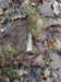 pxl_20241227_163503456_small.jpg