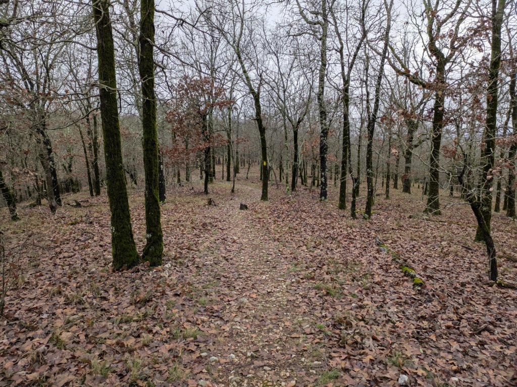 pxl_20241227_163510366.jpg