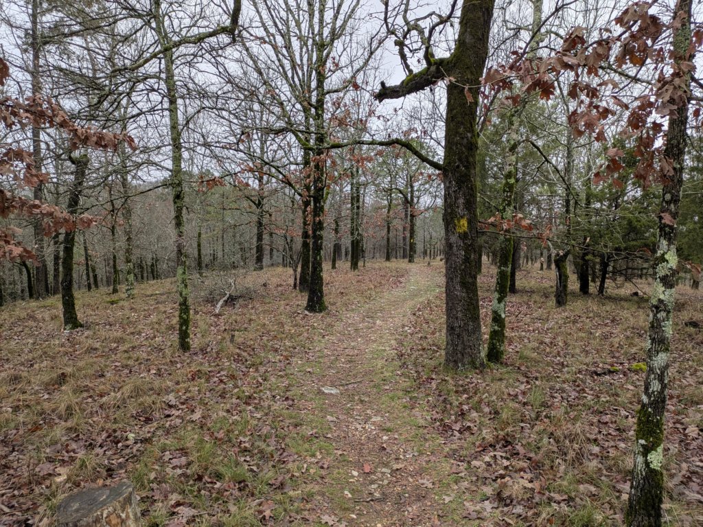 pxl_20241227_163727693.jpg