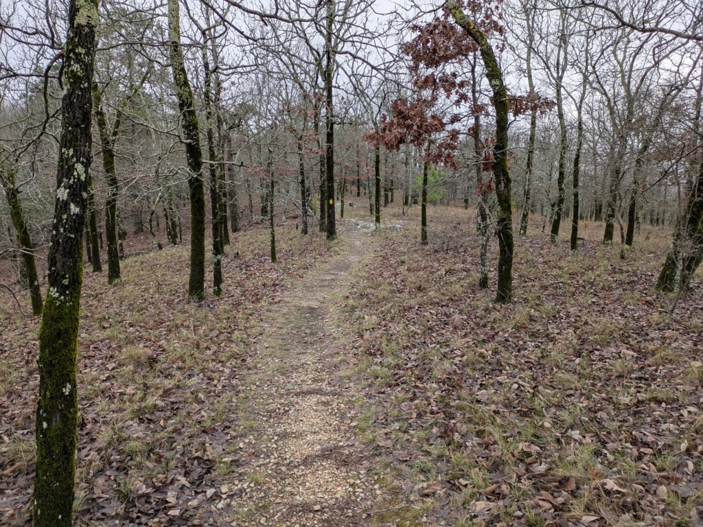 pxl_20241227_163853785.jpg