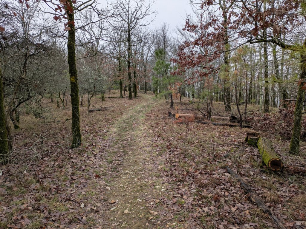 pxl_20241227_164039812.jpg