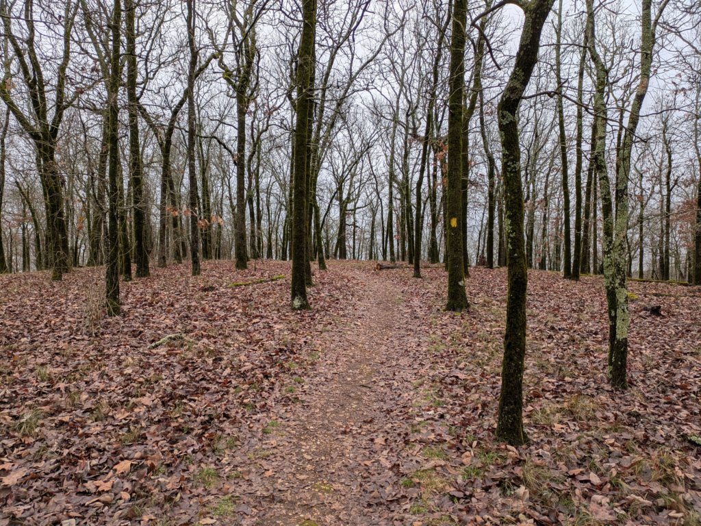 pxl_20241227_164256837.jpg