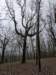 pxl_20241227_164340554_small.jpg