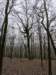 pxl_20241227_164405124_small.jpg