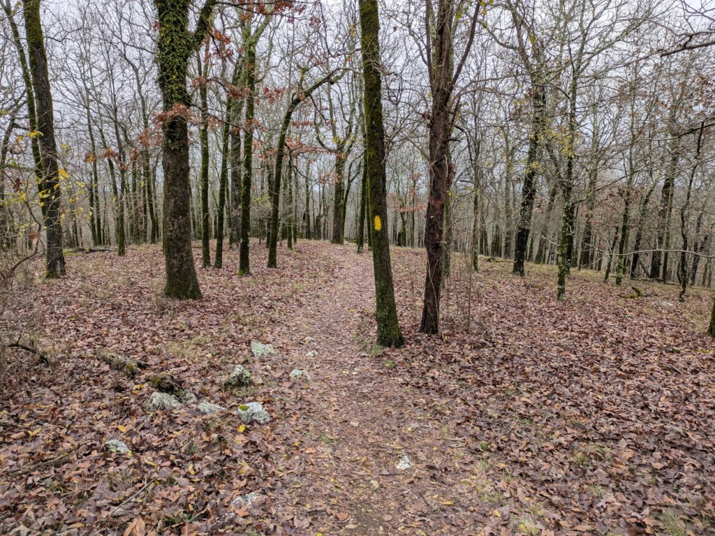 pxl_20241227_164447679.jpg