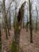 pxl_20241227_164546086_small.jpg