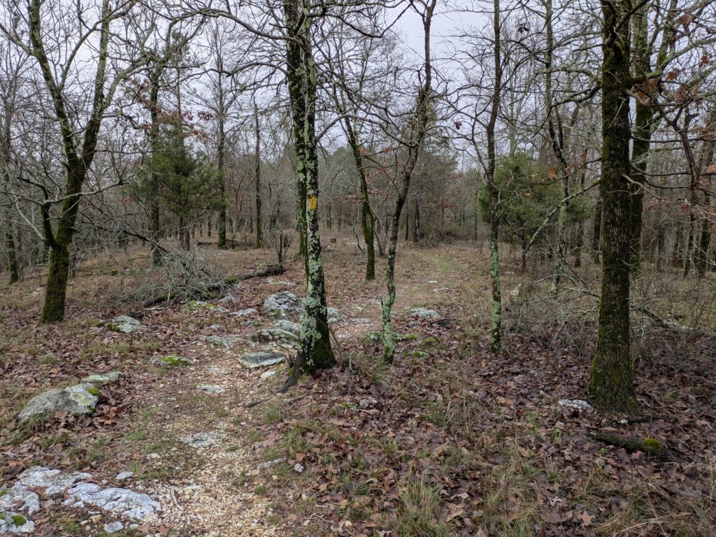 pxl_20241227_164856128.jpg