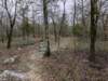 pxl_20241227_164856128_small.jpg