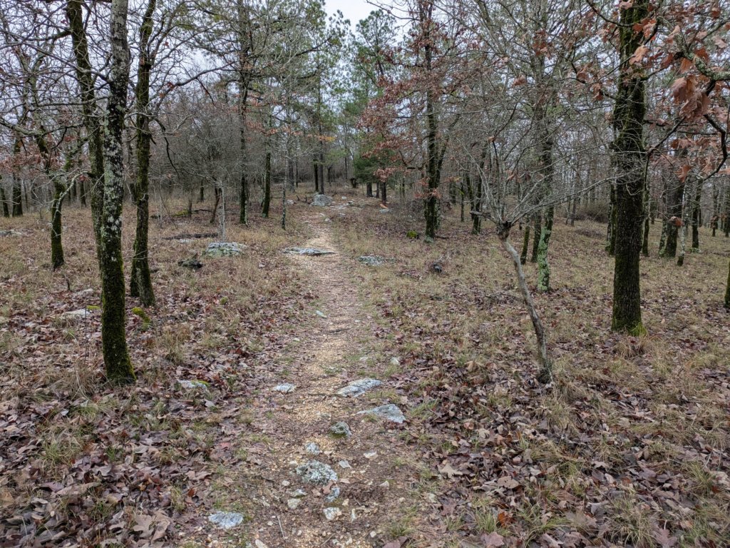 pxl_20241227_165015810.jpg