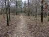 pxl_20241227_165015810_small.jpg