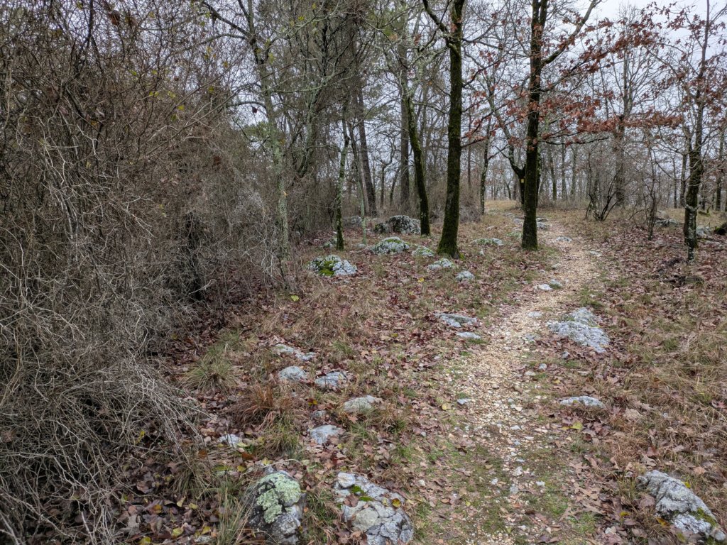 pxl_20241227_165132931.jpg