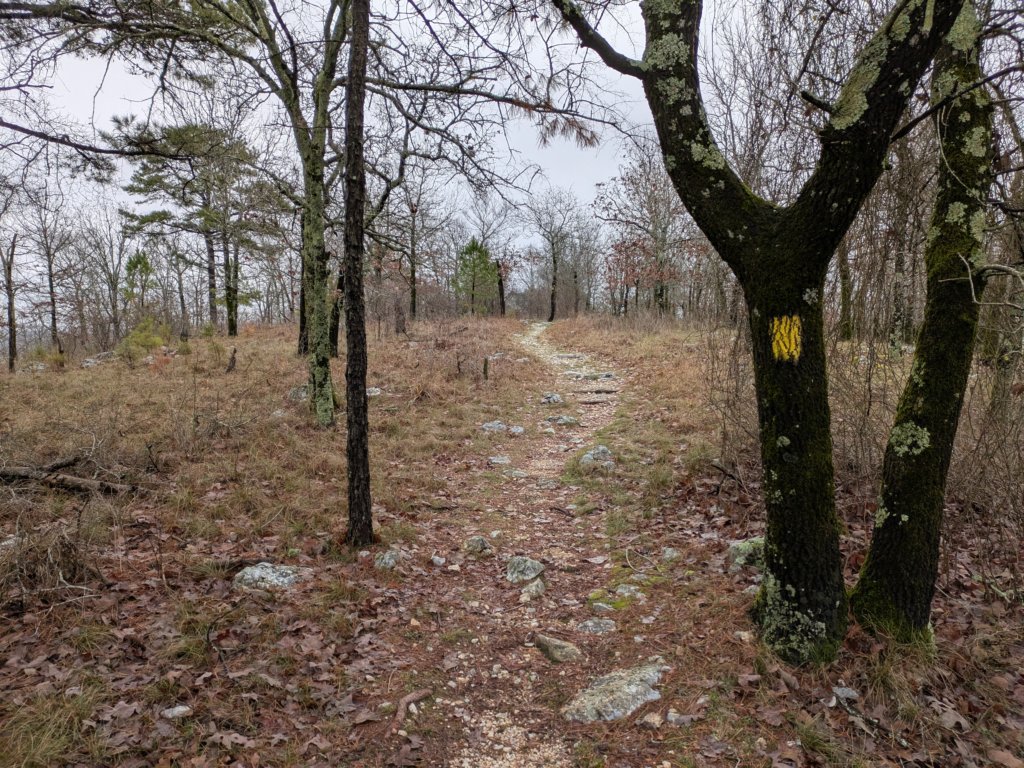 pxl_20241227_165154243.jpg