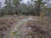pxl_20241227_165350271_small.jpg