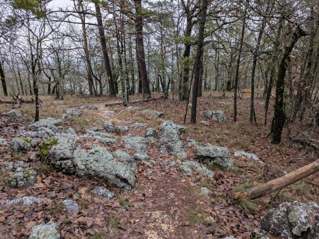 pxl_20241227_165418536.jpg