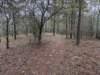 pxl_20241227_165639224_small.jpg