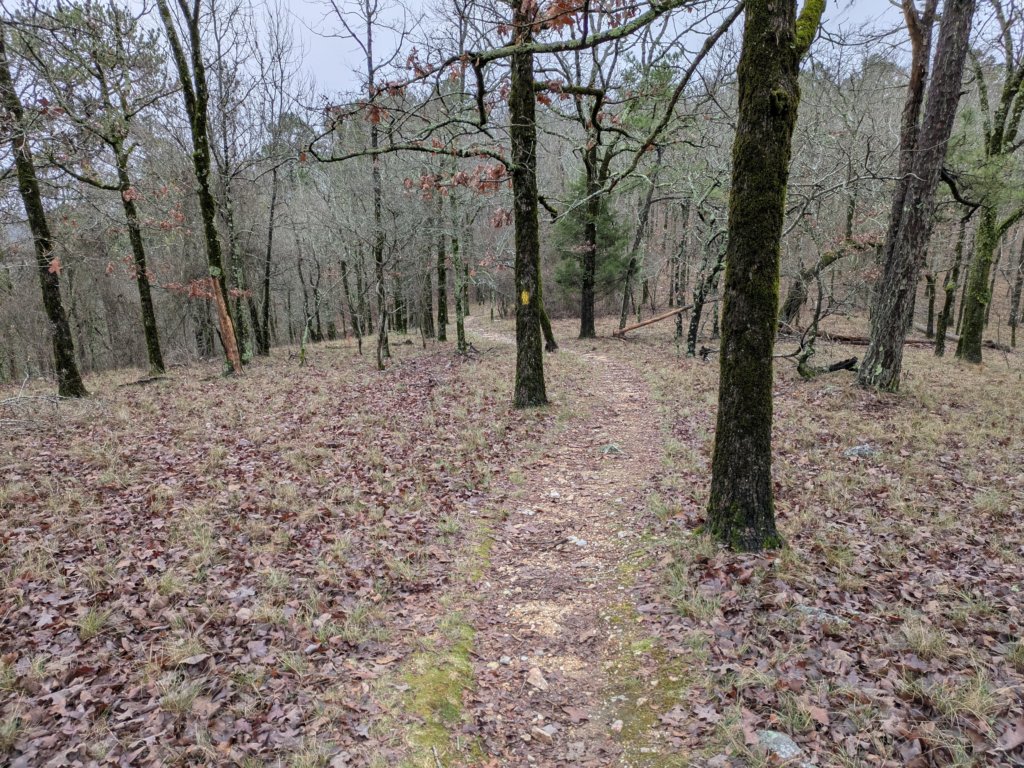 pxl_20241227_165722175.jpg