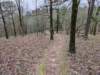 pxl_20241227_165722175_small.jpg