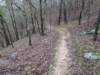 pxl_20241227_165820748_small.jpg