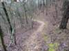 pxl_20241227_165845073_small.jpg