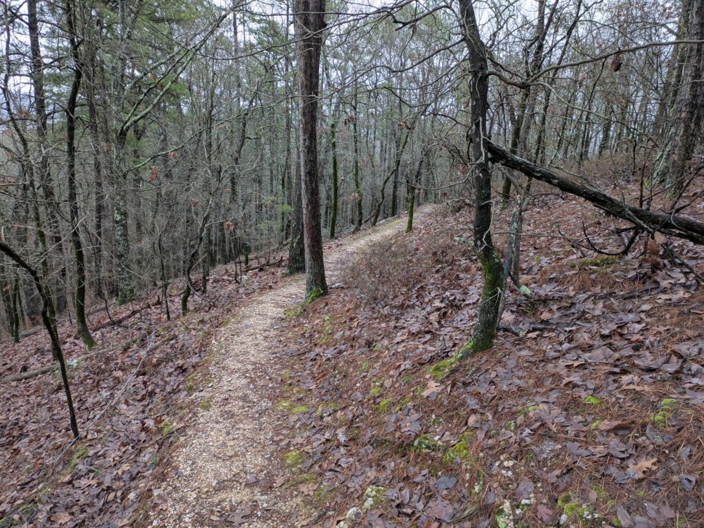 pxl_20241227_165930701.jpg