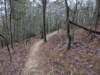 pxl_20241227_165930701_small.jpg